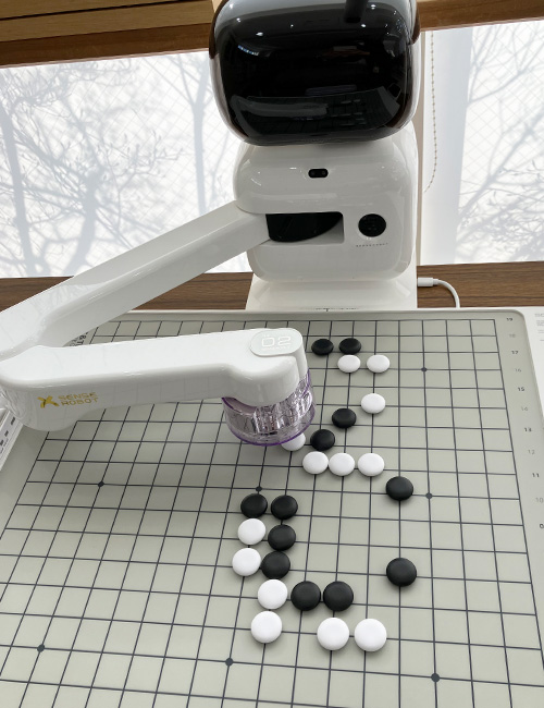 囲碁クラブ女性教室